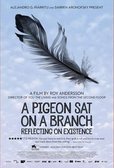 A Pigeon.jpg